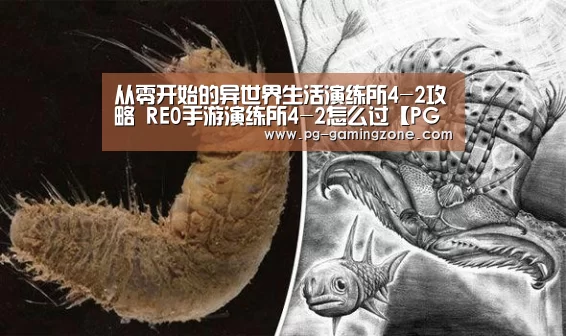 从零开始的异世界生活演练所4-2攻略 RE0手游演练所4-2怎么过【PG电竞】(图1) PG足球