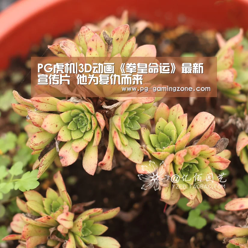 PG虎机|3D动画《拳皇命运》最新宣传片 他为复仇而来(图2) PG赛事