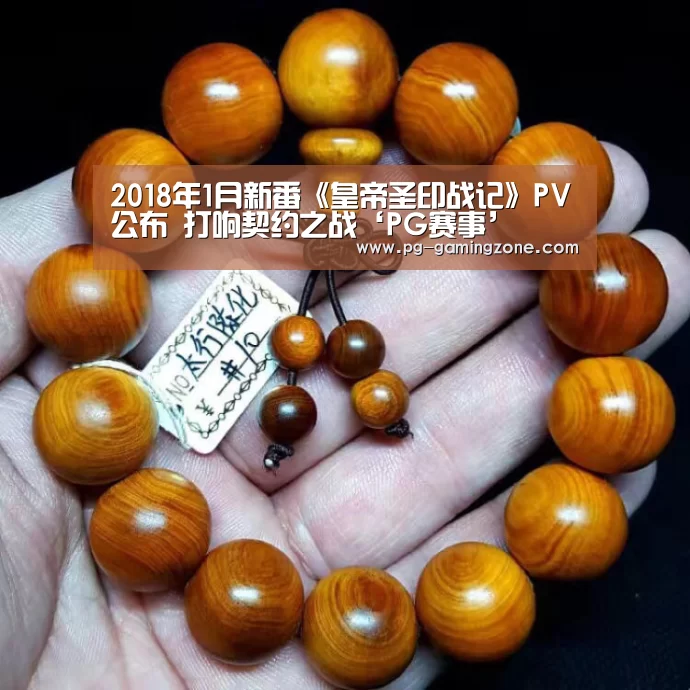 2018年1月新番《皇帝圣印战记》PV公布 打响契约之战‘PG赛事’(图2) PG电竞