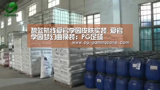 碧蓝航线爱宕学园皮肤实装 爱宕学园梦幻曲换装:PG足球(图1) PG足球