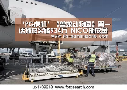 ‘PG虎机’《兽娘动物园》第一话播放突破934万 NICO播放量第一(图1) PG足球