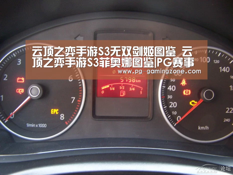 云顶之弈手游S3无双剑姬图鉴 云顶之弈手游S3菲奥娜图鉴|PG赛事(图1) PG赛事
